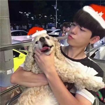 微信头像加圣诞帽男生帅气高清大图叮叮当叮叮当铃儿响叮当