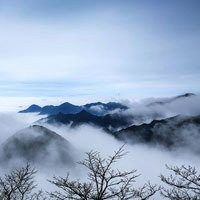 好看的大自然风景头像春天花草大自然风景头像点击鼠标右键下载