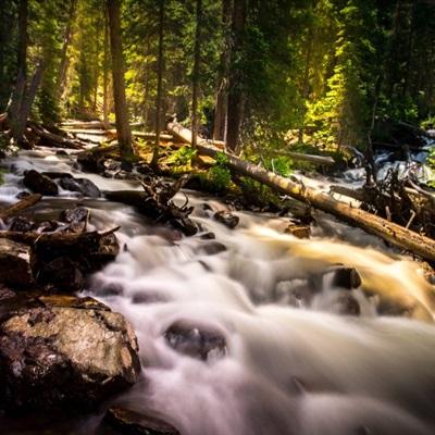 大自然风景微信头像 森林小溪山间流水图片