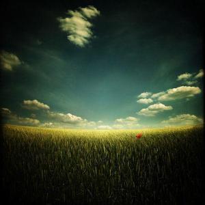 优美意境大自然风景头像