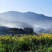 乡村大自然风景头像真实美丽乡村风景头像点击鼠标右键下载