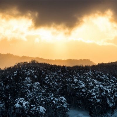 最好看的风景微信头像,冬季雪景优美自然风景高清图片