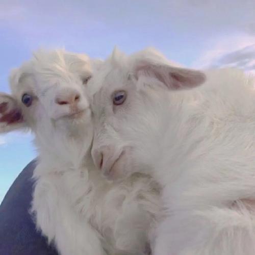 微信头像自然风景图片