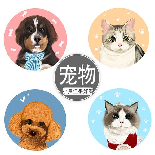 宠物手绘头像定制q版卡通狗狗子微信猫咪约稿动漫画logo设计画像