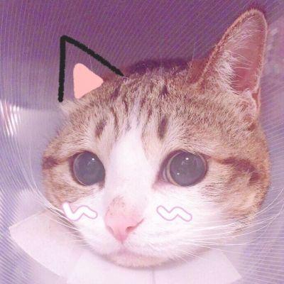 可爱猫星人卖萌头像_微信头像_我要个性网