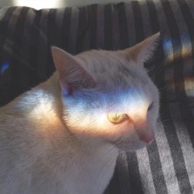 可爱猫星人卖萌头像_微信头像_我要个性网