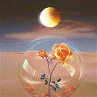 60岁老人吉利微信头像