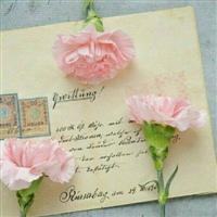 属蛇的人适合用什么微信头像