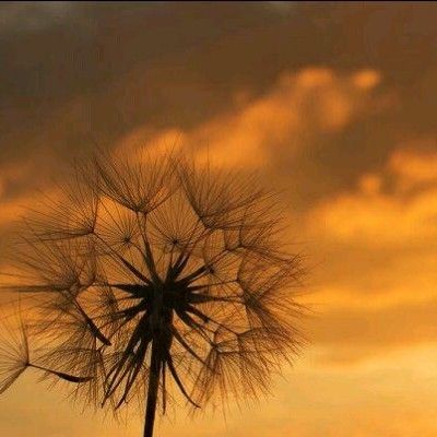 微信头像伤感风景图片大全唯美壁纸