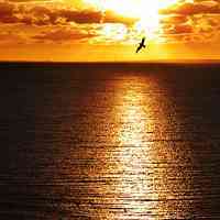 手指碰花微信头像图片大全唯美伤感【点击鼠标右键下载】