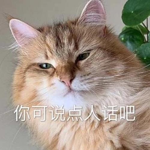 林一笑/可爱又有沙雕气质的猫咪表情包