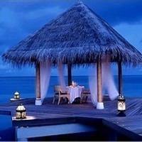 风景气质美女背影头像