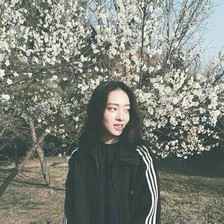 微信意境海边背影头像女生下载【点击鼠标右键下载】