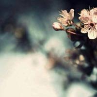 带风景背影头像女生【点击鼠标右键下载】