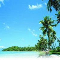 微信头像三亚风景背影