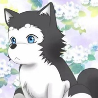 哈士奇q版图片 动漫可爱Q版哈士奇萌图 (1)