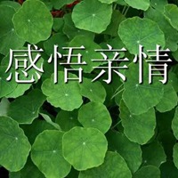 愿你俩恩恩爱爱 意笃情深 此生爱情永恒 爱心与日俱增!