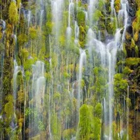 qq头像大自然美景-大自然最美风景qq头像 (11)