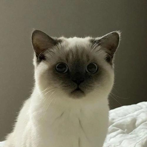 微信头像女生新款丨女生头像背影短发高清图片0726期_腾讯新闻