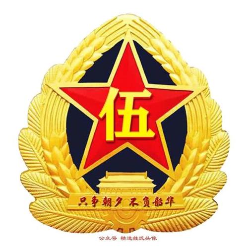 只争朝夕,不负韶华!2020传递"正能量"姓氏头像丨可修改名字,添加照片!