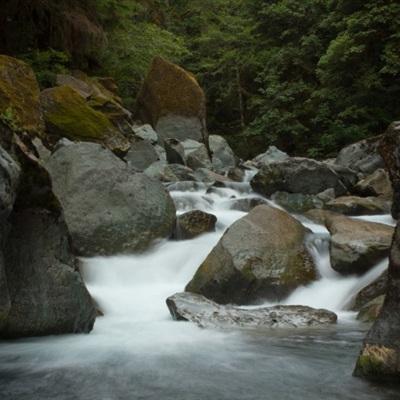 大自然风景微信头像 森林小溪山间流水图片-唯美头像