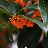 花头像老年人_微信头像图片大全