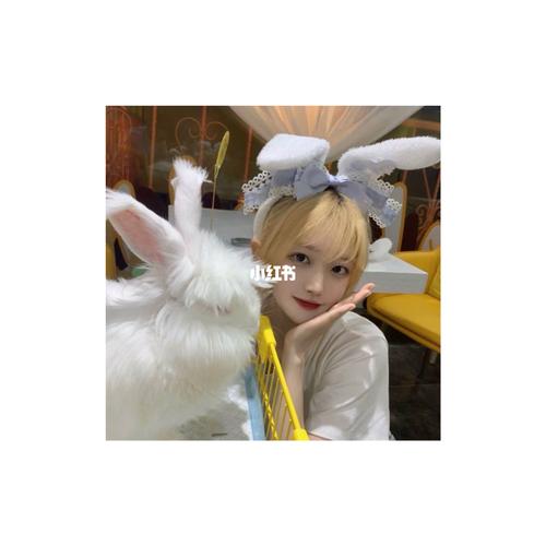 wechat头像🐇_小众头像_素材_头像