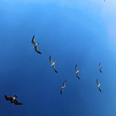 微信朋友网背景图 - 堆糖,美图壁纸兴趣社区