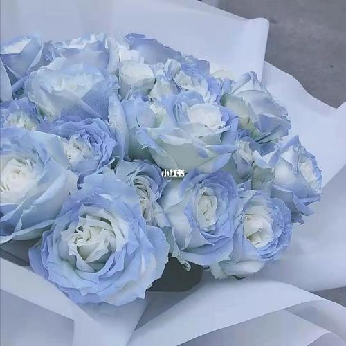 优质wechat头像_头像_优质头像_素材_头像