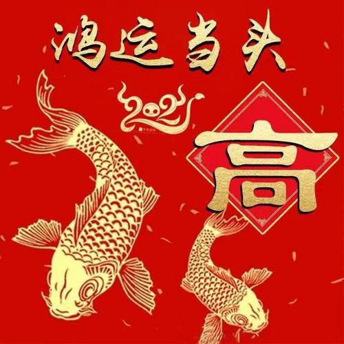 新年微信头像分享:鸿运当头,年年有余!_娜娜