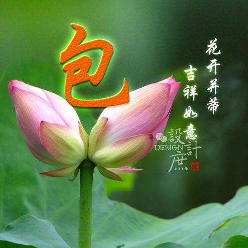 微信头像:花开并蒂,吉祥如意