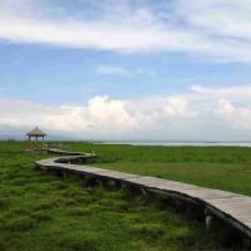 山水竹风景图片大全头像_竹林图片大全风景图片 - 随意优惠券