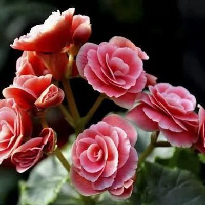 大自然超唯美高清风景头像2022 男女通用微信风景头_风景头像_美头网