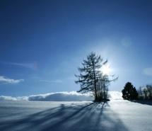 微信头像风景冬天雪景_微信头像图片大全