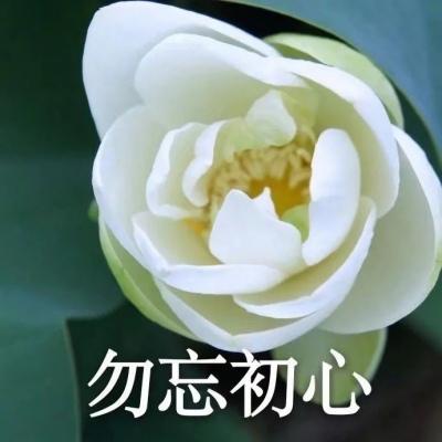 能带来好运的微信头像_吉利吉祥好运的微信头像_第8页_qq头像_我要个