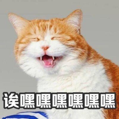 骗你是小猫_微信头像_我要个性网