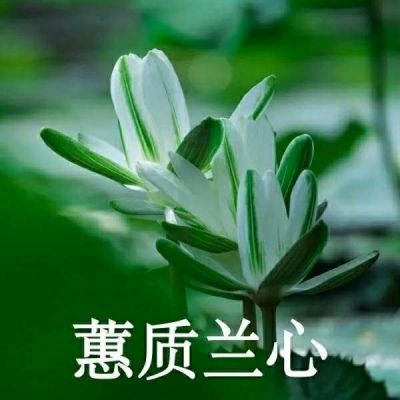 哈哈哈老年团头_微信头像_我要个性网