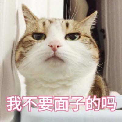 超可爱的猫咪表情包微信头像 二_微信头像_我要个性网