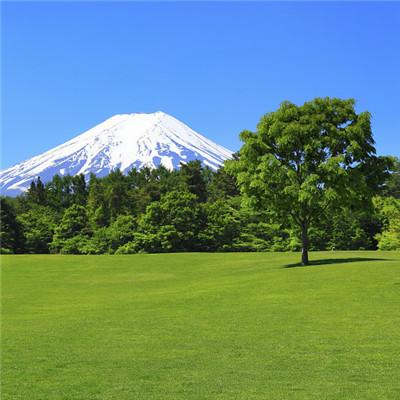 微信最吉利的好看头像自然风景 寓意吉利的风景图片头像_好看的头像_