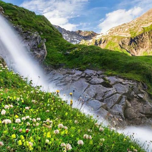 微信头像清新绿色自然风景(微信头像清新自然风景) - 错误博客