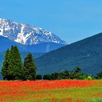 草原山川四季风景微信头像,真实大自然风景图片-唯美头像