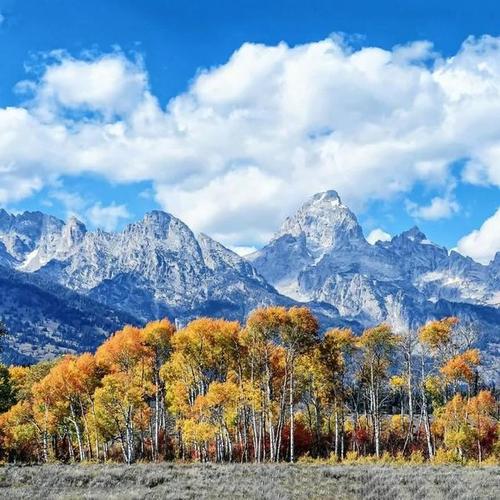 微信头像清新绿色自然风景(微信头像清新自然风景) - 错误博客