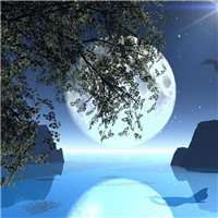 超级圆月亮微信头像【点击鼠标右键下载】