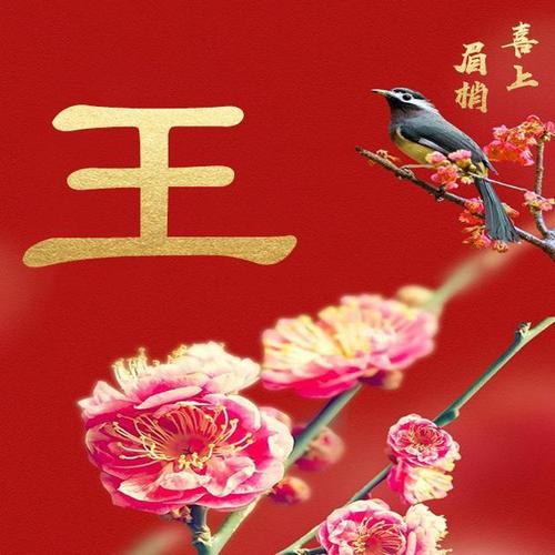 35张百家姓微信头像,喜上梅梢,无法抗拒的喜庆!_姓氏