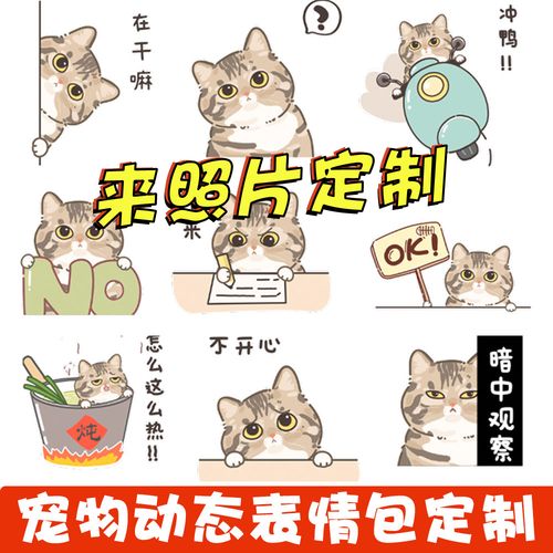 猫咪动态表情包定制动画卡通贴图微信表情q版头像狗猫咪礼物定制