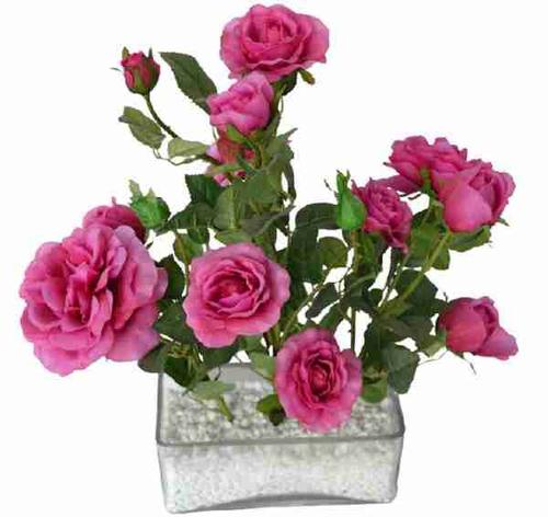 花卉微信头像_微信头像图片大全