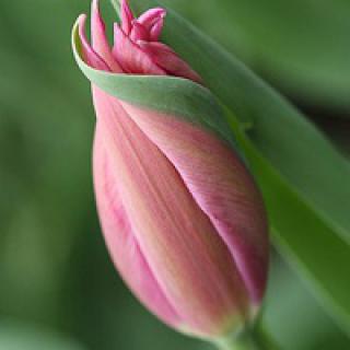 警察头像图片 - 符号基地