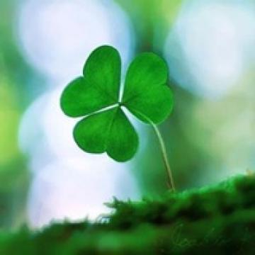 生命头像图片大全 - 可爱卡通头像!