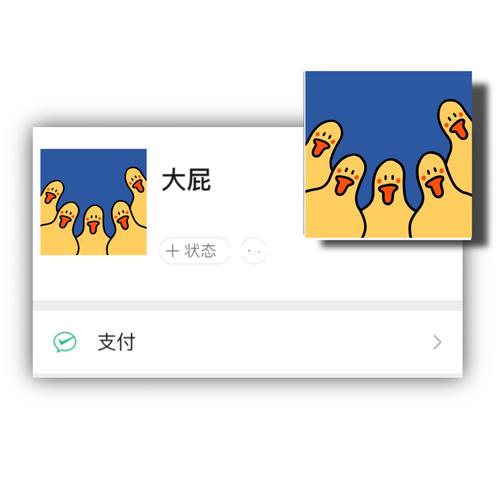 wechat头像|可爱头像