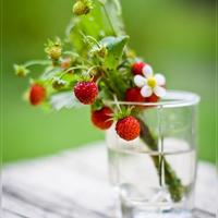 2013清新自然好看的个性头像图片,小杂物,风景系-个性头像